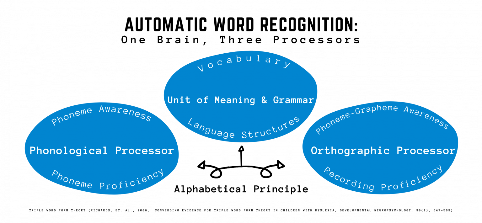 Decoding and Encoding / Spelling Tutoring